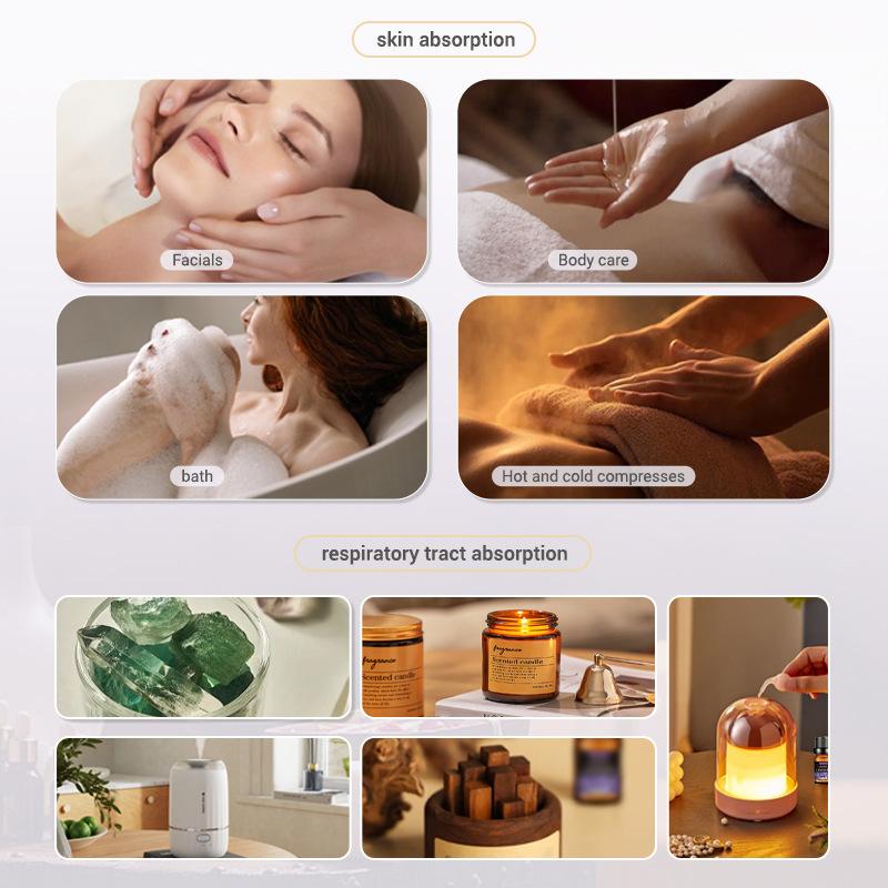 10ml Fragrance Oils Gift Box F - Soap Making Ingredients 评论和价格